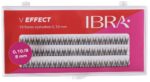 IBRA - V EFFECT B 10 FLARES EYELASH - 8mm