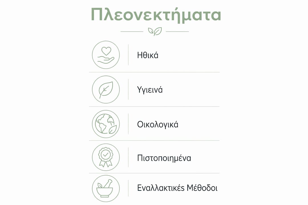Εικονογράφηση με τα βασικά οφέλη των cruelty free καλλυντικών, παρουσιασμένα με αριθμημένη λίστα.