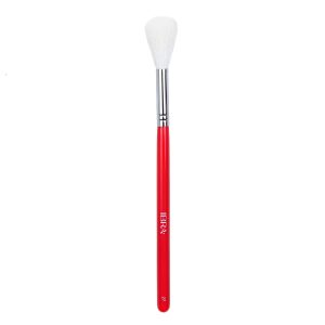 ibra-brush-27